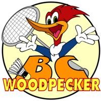 BC woodpecker